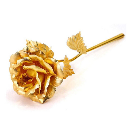 Valentines Day Gift -H